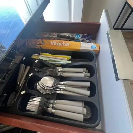 公寓 Yanis 托雷维耶哈