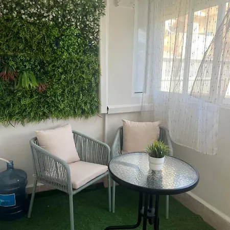 Yanis 托雷维耶哈