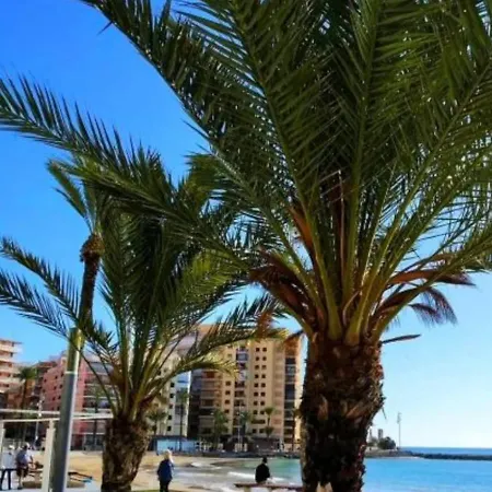 Yanis * Torrevieja